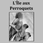 Image du produit précédent