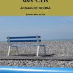 Image du produit précédent