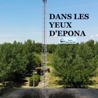 Dans les yeux d'Epona